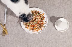 2020年我国宠物食品犬猫粮产量逆势上涨